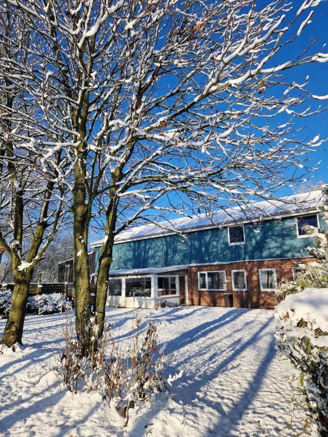 Ferienwohnung Sort Sol Grellsbuelldeich 7 Aventoft Exterior foto